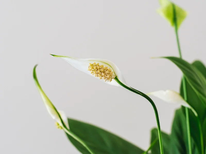 赌博软件PG电子平台